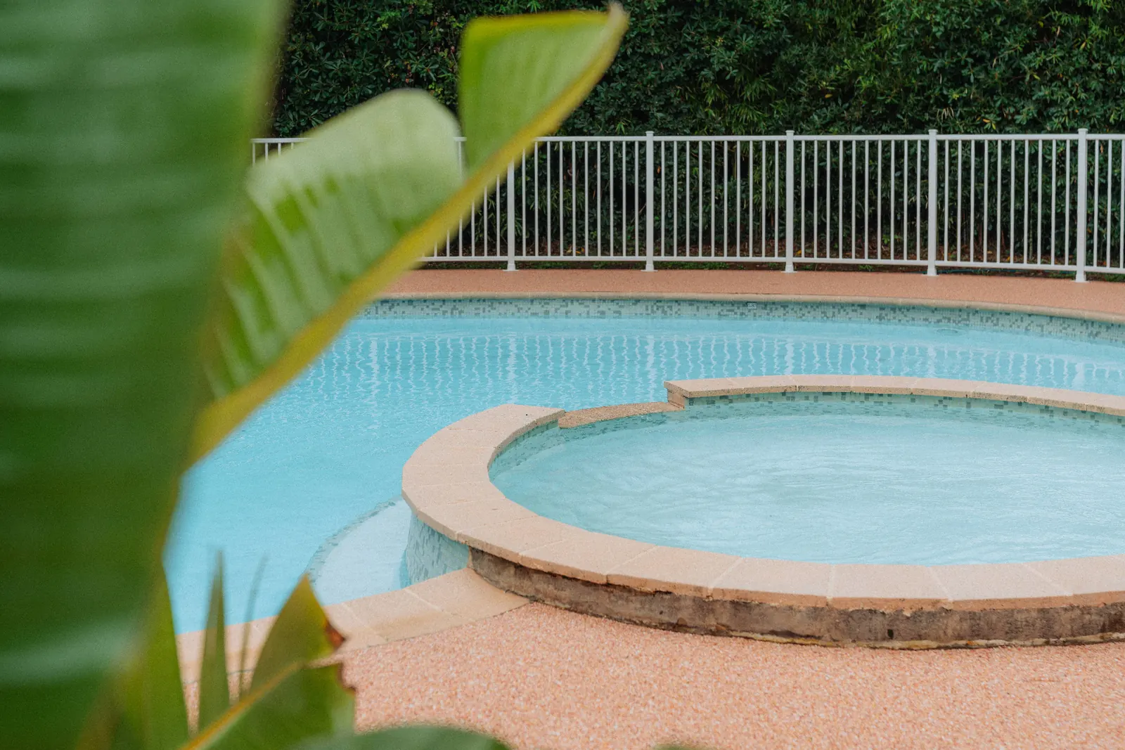Piscine de The Cannes Motel sous les pins